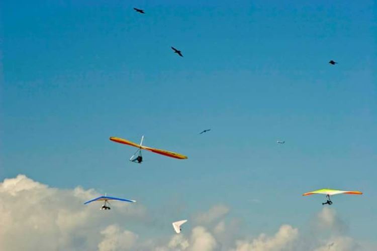 Hang Gliding