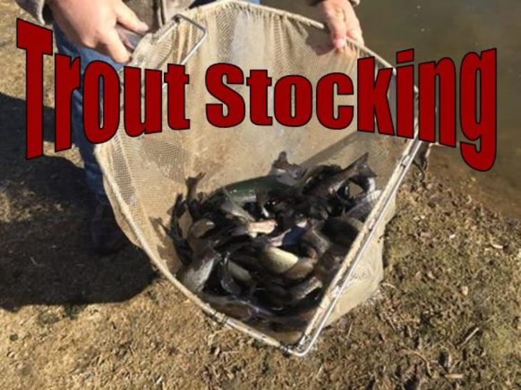 Trout Stocking