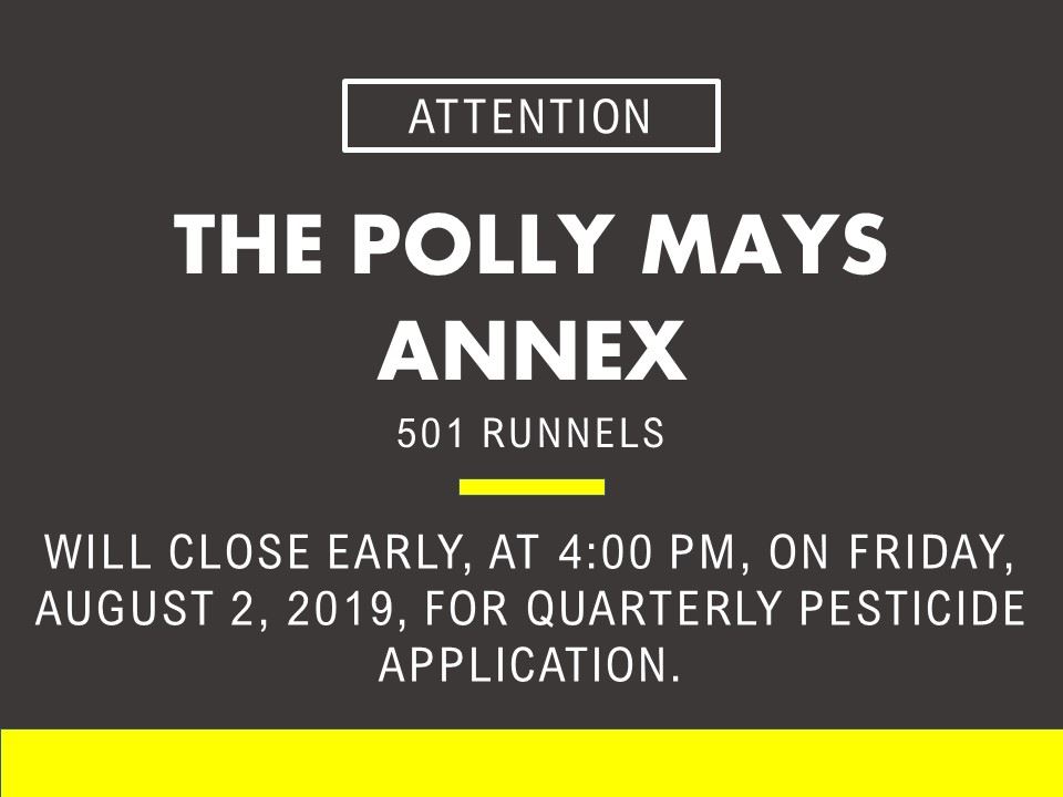 Polly Mays Bug Friday